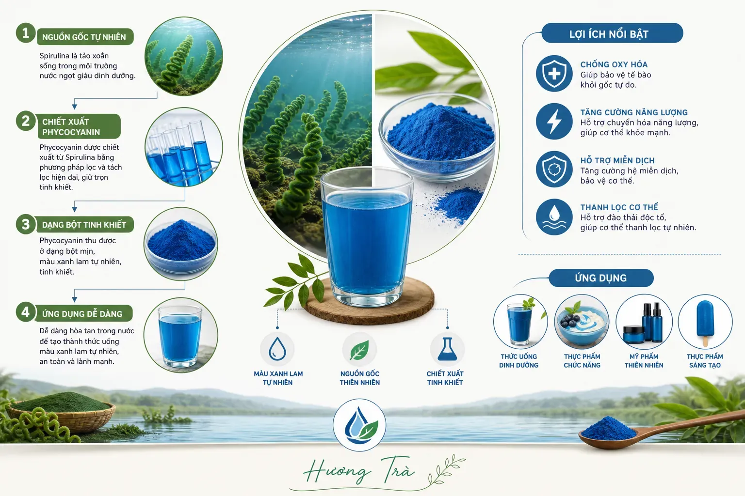 Phycocyanin: Câu chuyện đằng sau sắc xanh từ tảo xoắn
